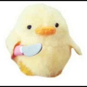 Meet your Posher, Benjamin